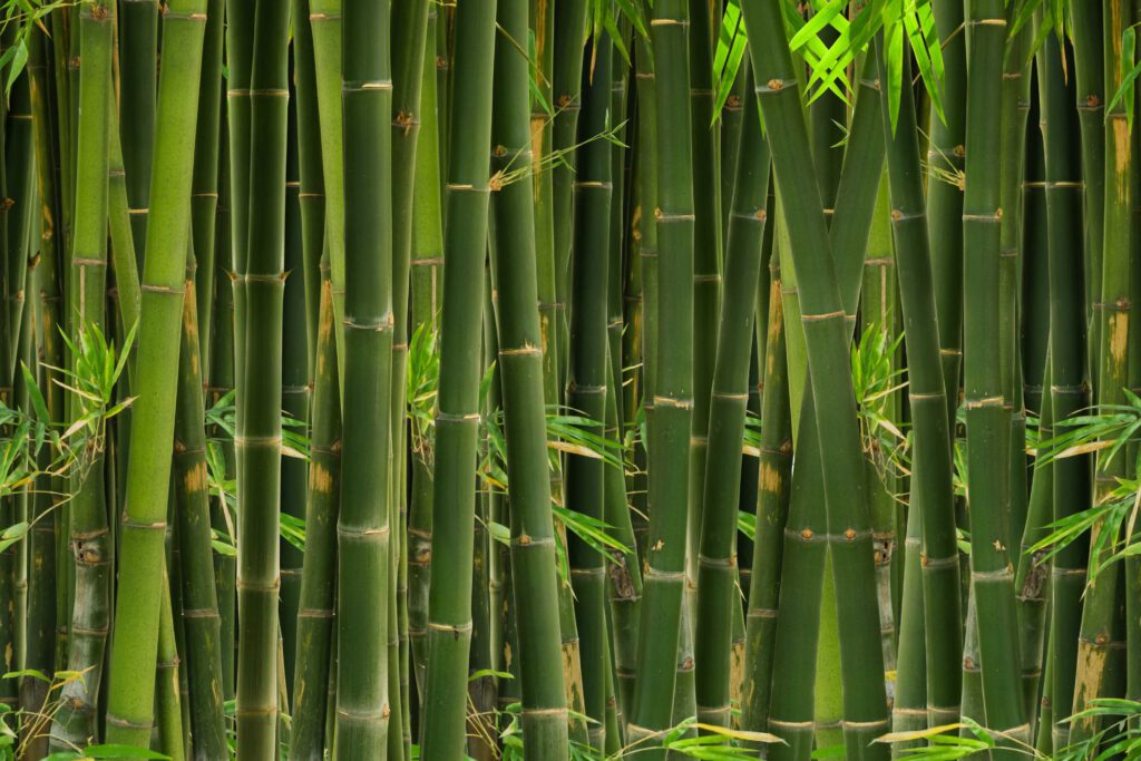 künstlicher bambus